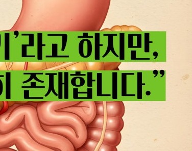 간경화 초기증상