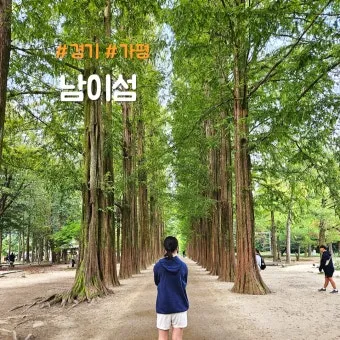 남이섬 여행 코스 배시간 산책루트 가평 카페까지 알찬 당일치기_22