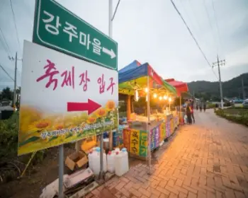 강주 해바라기 축제_14