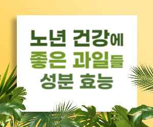 노년 건강에 좋은 과일 정리. 고혈압 예방&#44; 노화 방지
