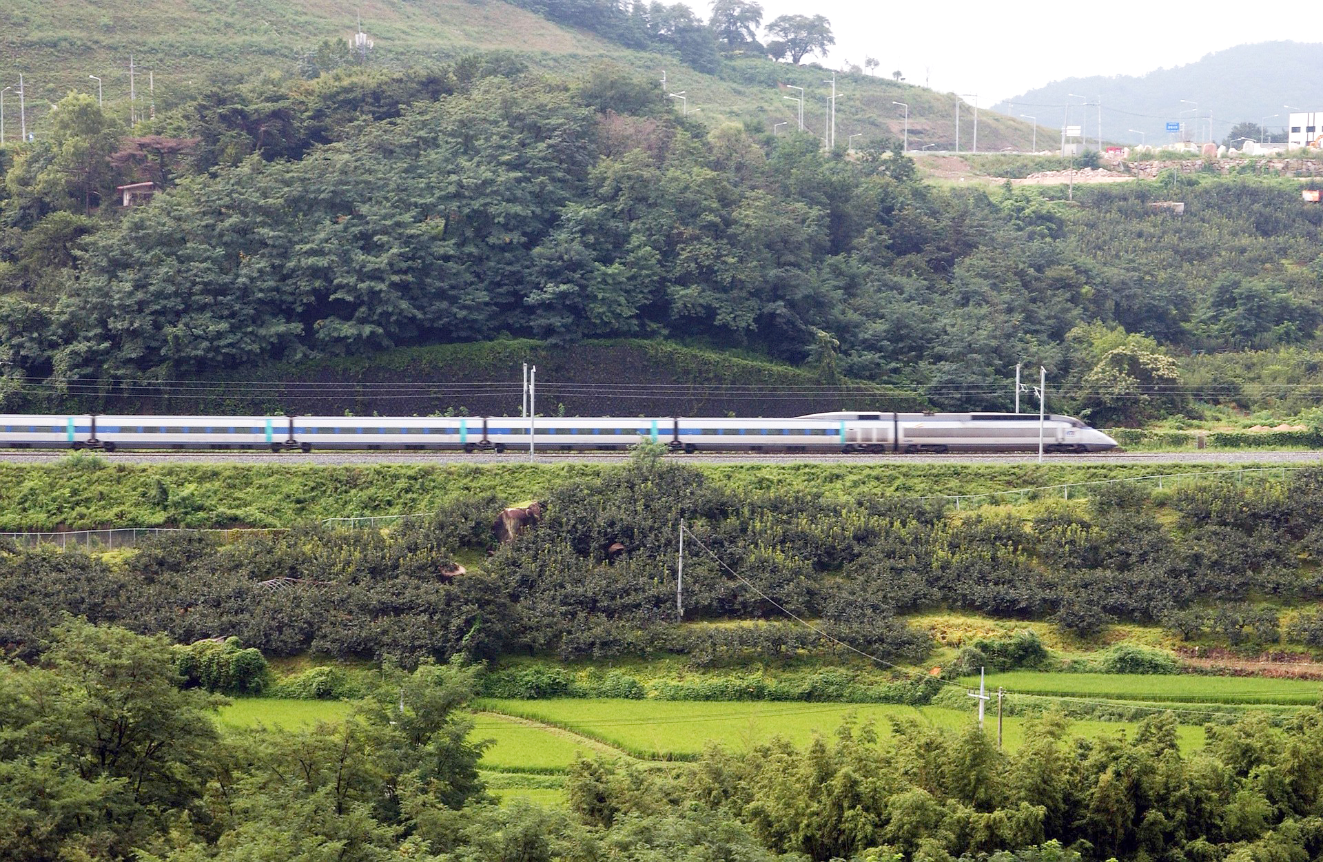 숙바세일 페스타, 숙박할인원, 문화체육관광부, 2025, 여름