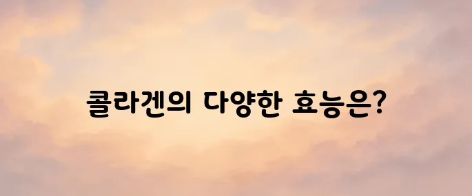 콜라겐 효능 총정리│피부·관절·노화방지에 좋은 이유