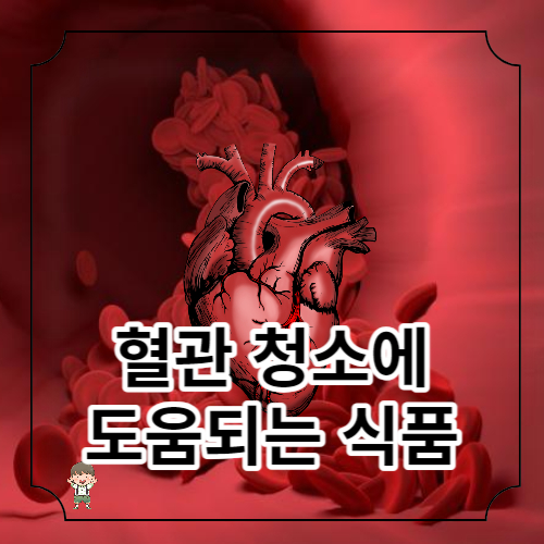 혈관청소에 좋은 식품가이드