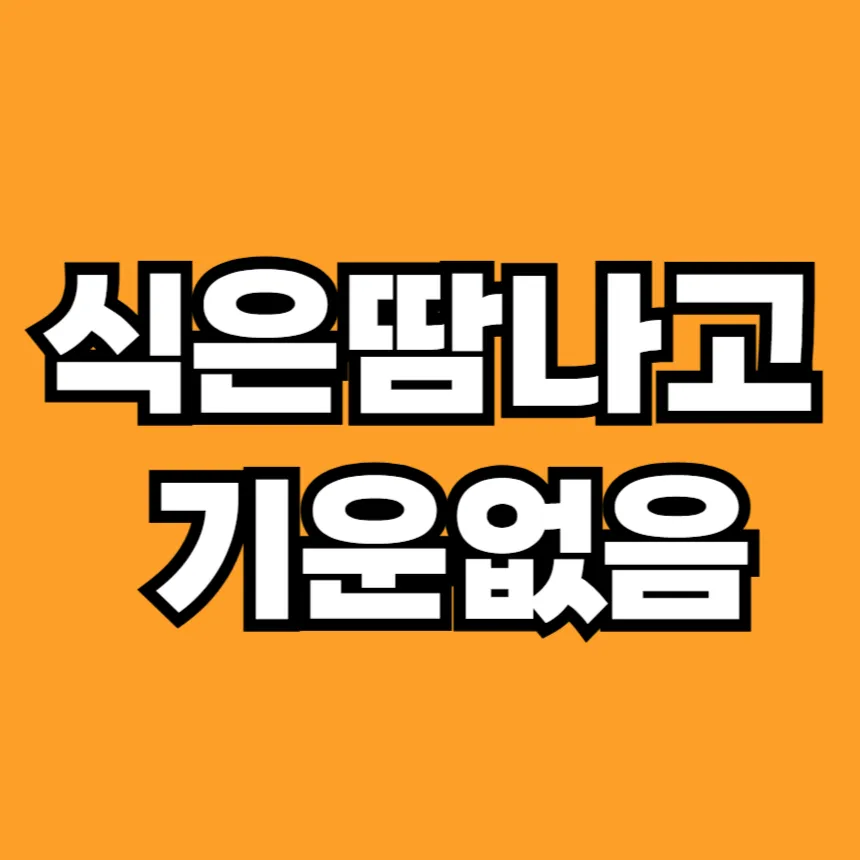 식은땀이 나고 기운이 없음