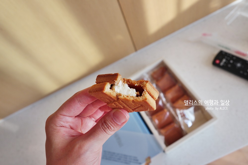 제주 앨리스 앤 트렁크 호텔 주변 제주공항 근처 가볼만한곳 BEST 10