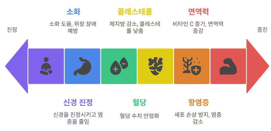푸얼차 효능