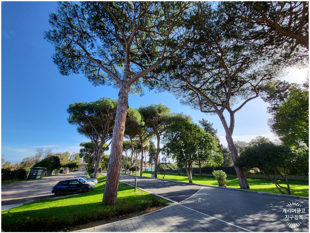 오스티아 안티카