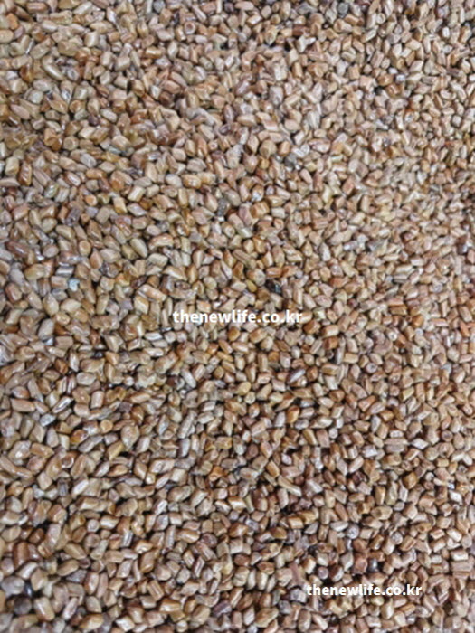 고혈압에 좋은 음식 차 결명자차