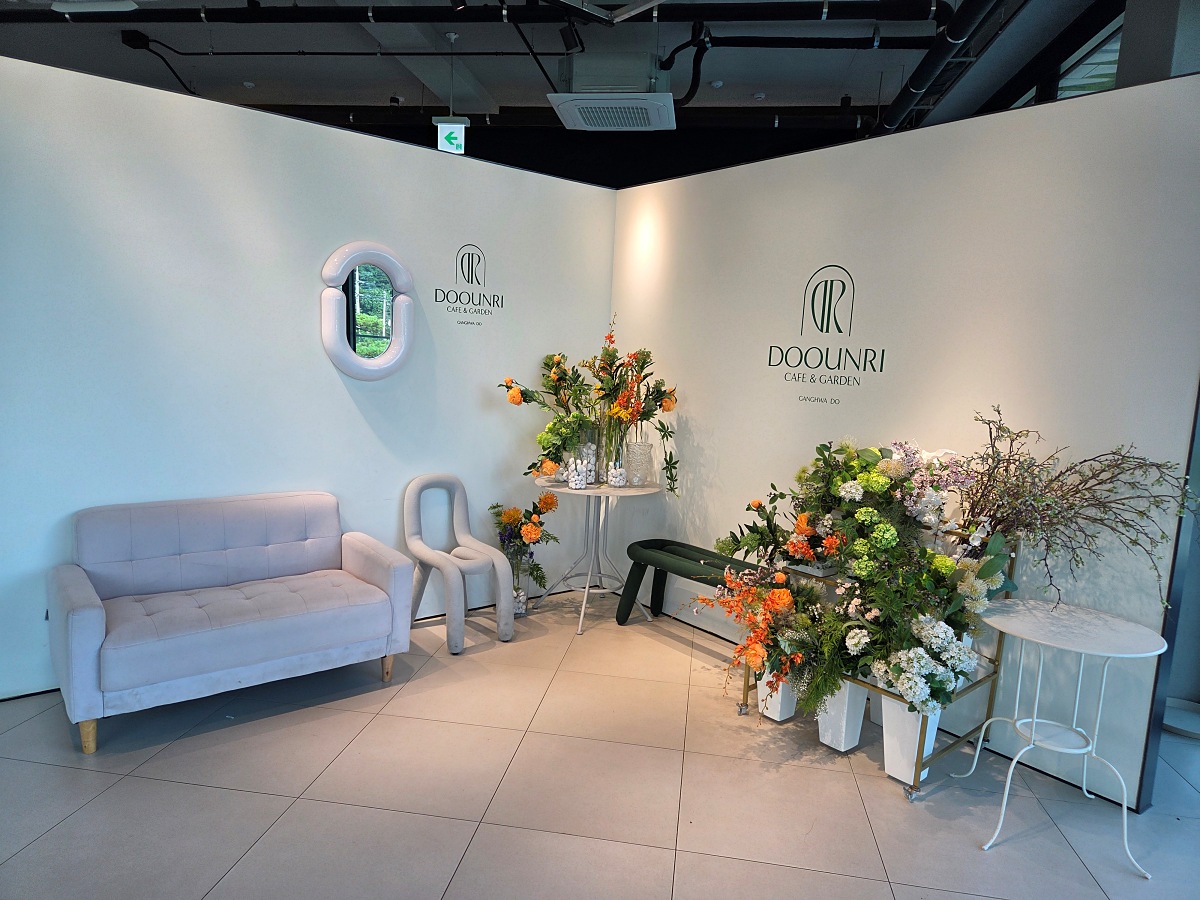 강화도 대형카페 두운리&amp;#44; 초록의 목수국 정원까지 즐기는 강화도 갈만한곳