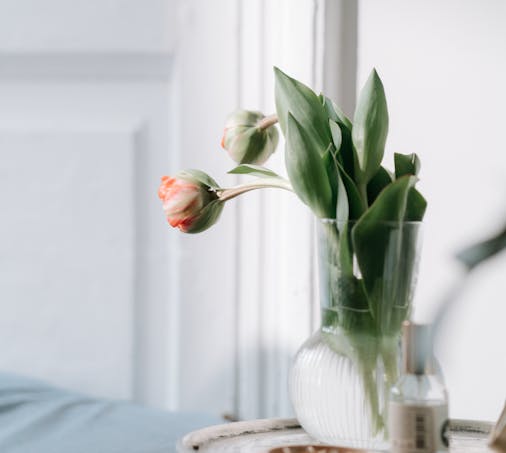 태안 튤립축제 기간, 입장료, 여행코스, 맛집 총정리