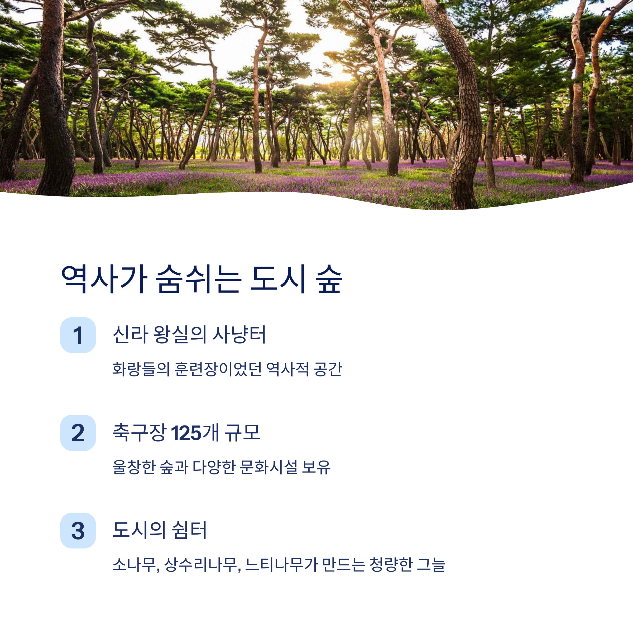 역사와 매력