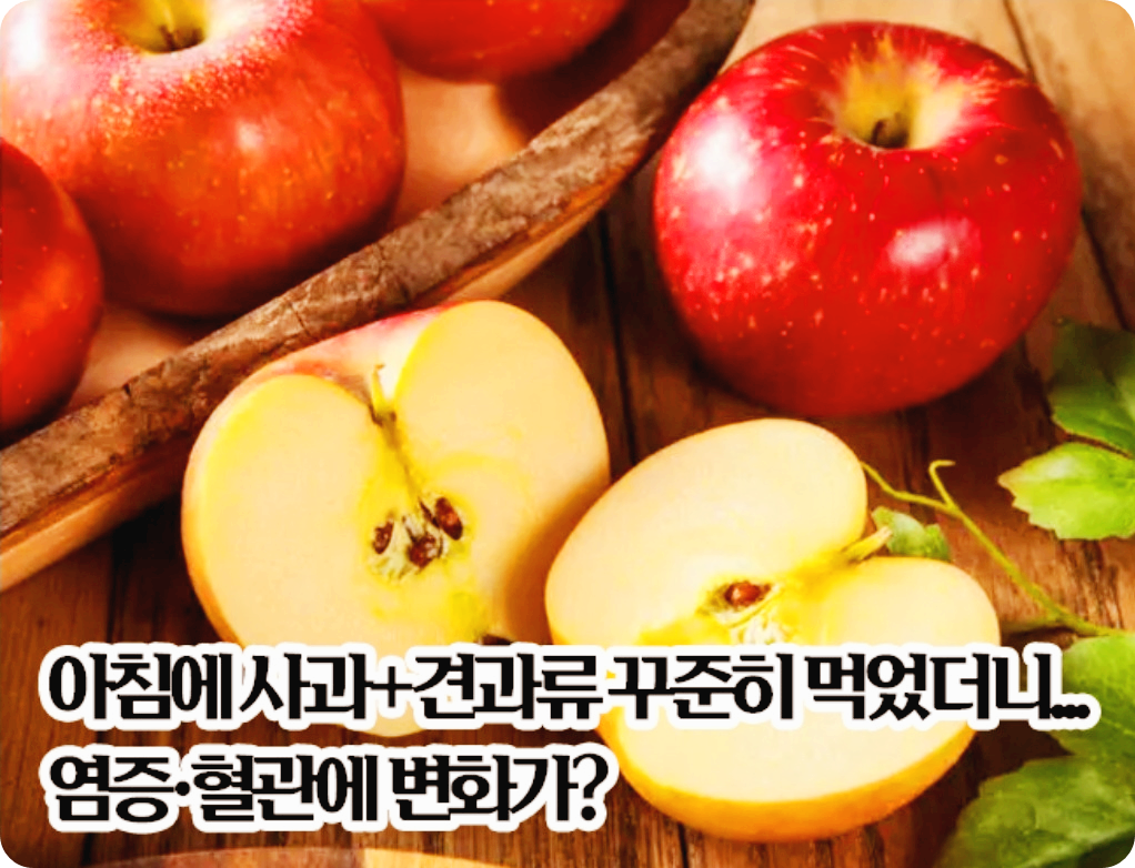 아침 사과