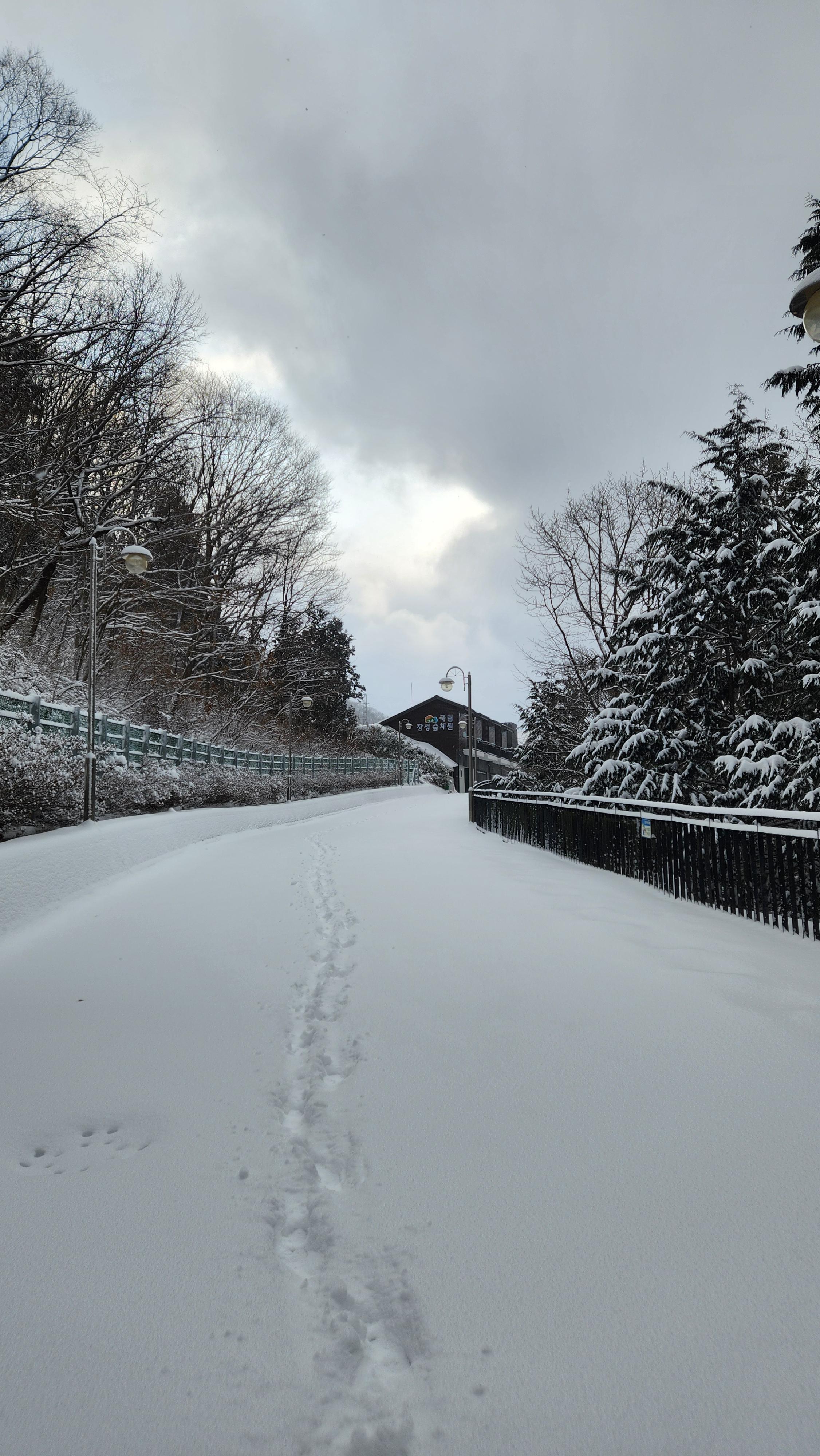 눈 덮인 장성숲체원 숙소 진입로