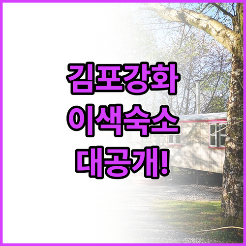 게이밍 PC부터 야외 수영장까지 김포..