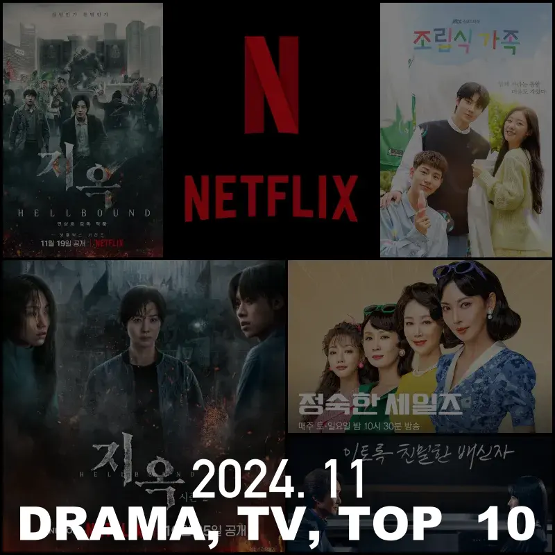 2024년 11월 넷플릭스 드라마 순위 TOP 10