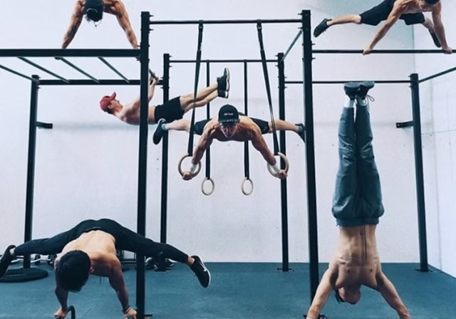 칼리스데닉스, 맨몸 운동, Calisthenics
