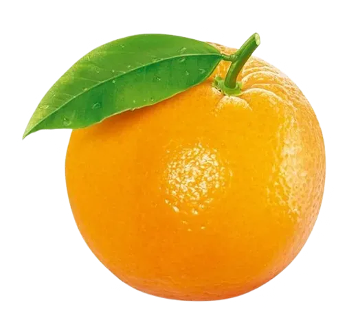 오렌지 효능 부작용 칼로리_7