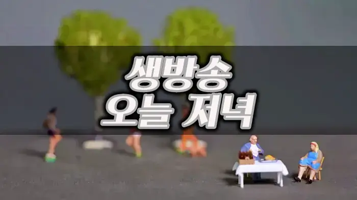 생방송오늘저녁 송파구 가락동 서울특별식 구워서 나오는 풀코스돼지갈비 풀코스 치즈 갈비구이 맛집 추천