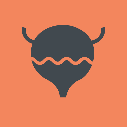 방광염-이미지-예시