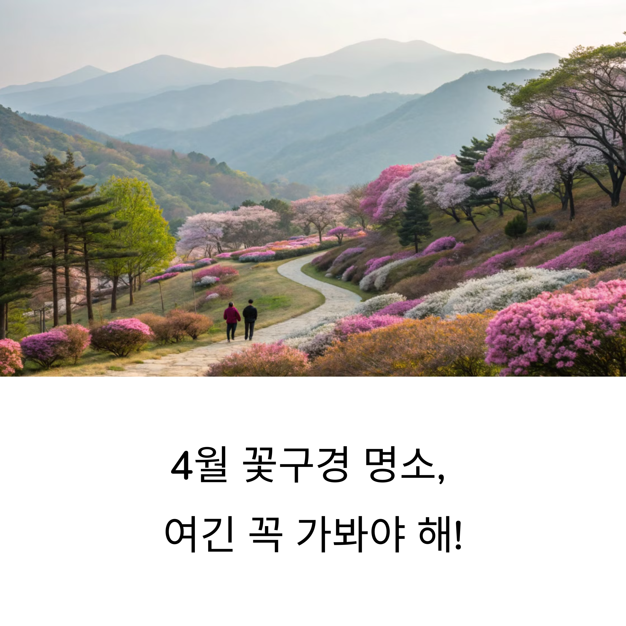 4월 꽃구경 명소, 여긴 꼭 가봐야 해! 봄의 절정 담은 스팟 모음