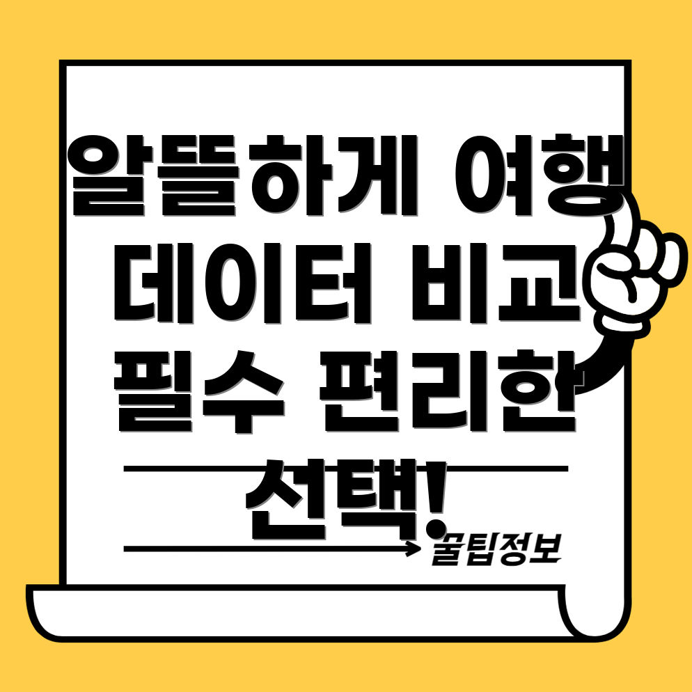 해외 데이터 요금제