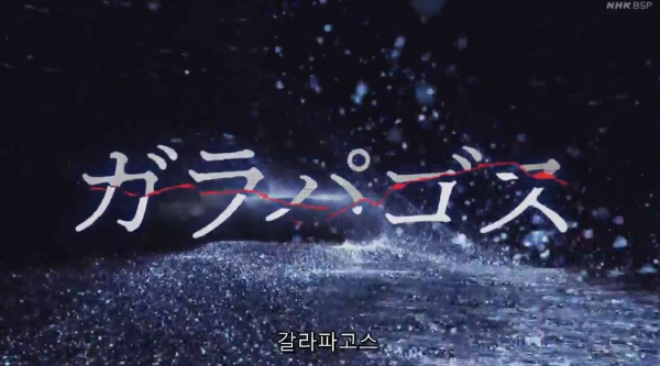 갈라파고스