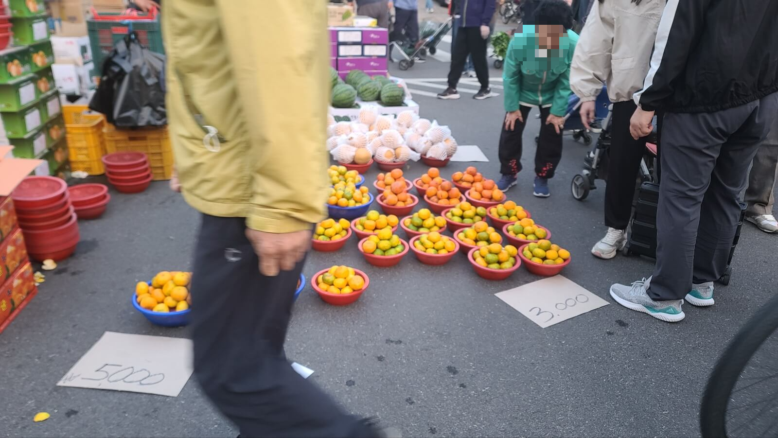 과일15