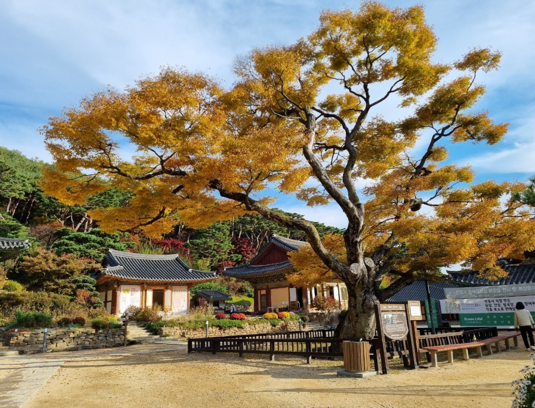 강화도 전등사 힐링 코스 숨은 명소