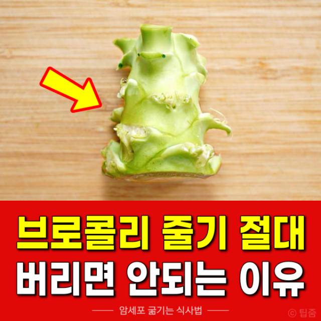 암세포 굶기는 식사법,브로콜리 줄기 효능 먹는법,팁줌