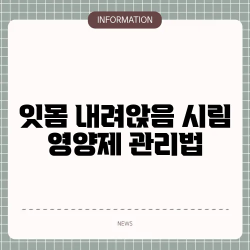 잇몸 내려앉음 시림 영양제 관리법
