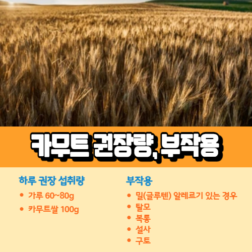 카무트