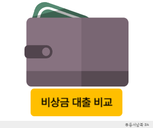 비상금대출