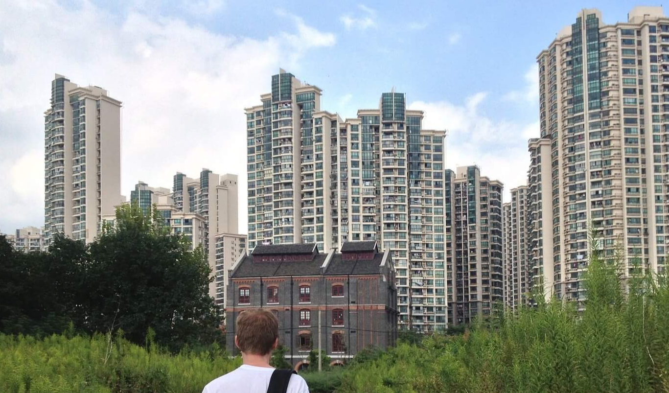 정부정책
