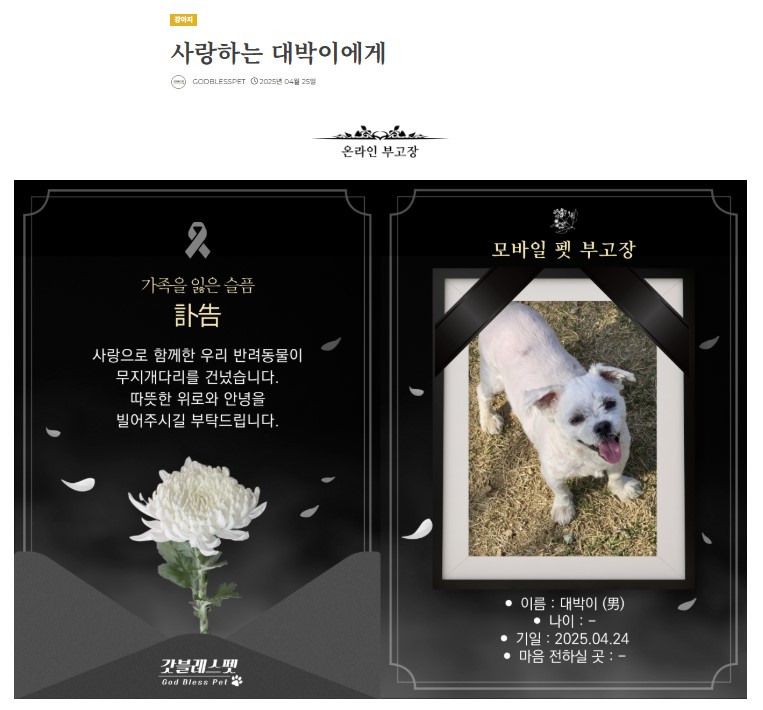 강아지-죽었을-때-위로