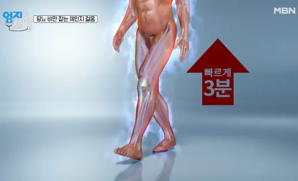 당뇨 걷기 효과 체인지걸음 당뇨에좋은운동