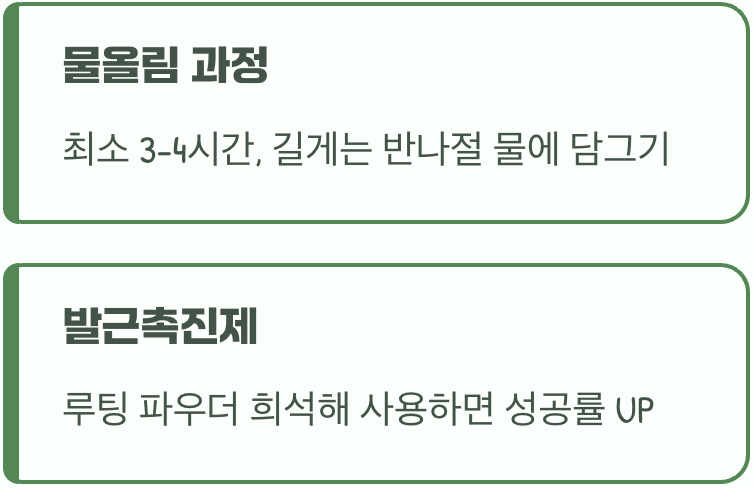 뿌리를 내리는 마법의 물올림
