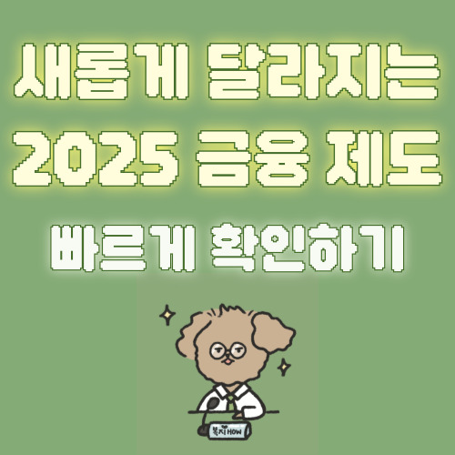 2025 금융제도