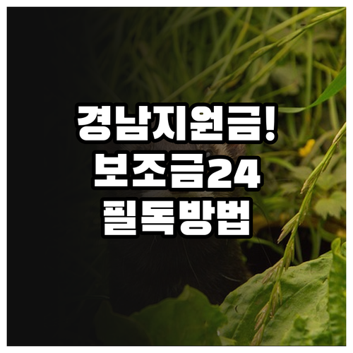 경상남도 지자체별 생활지원금 확인법 ..