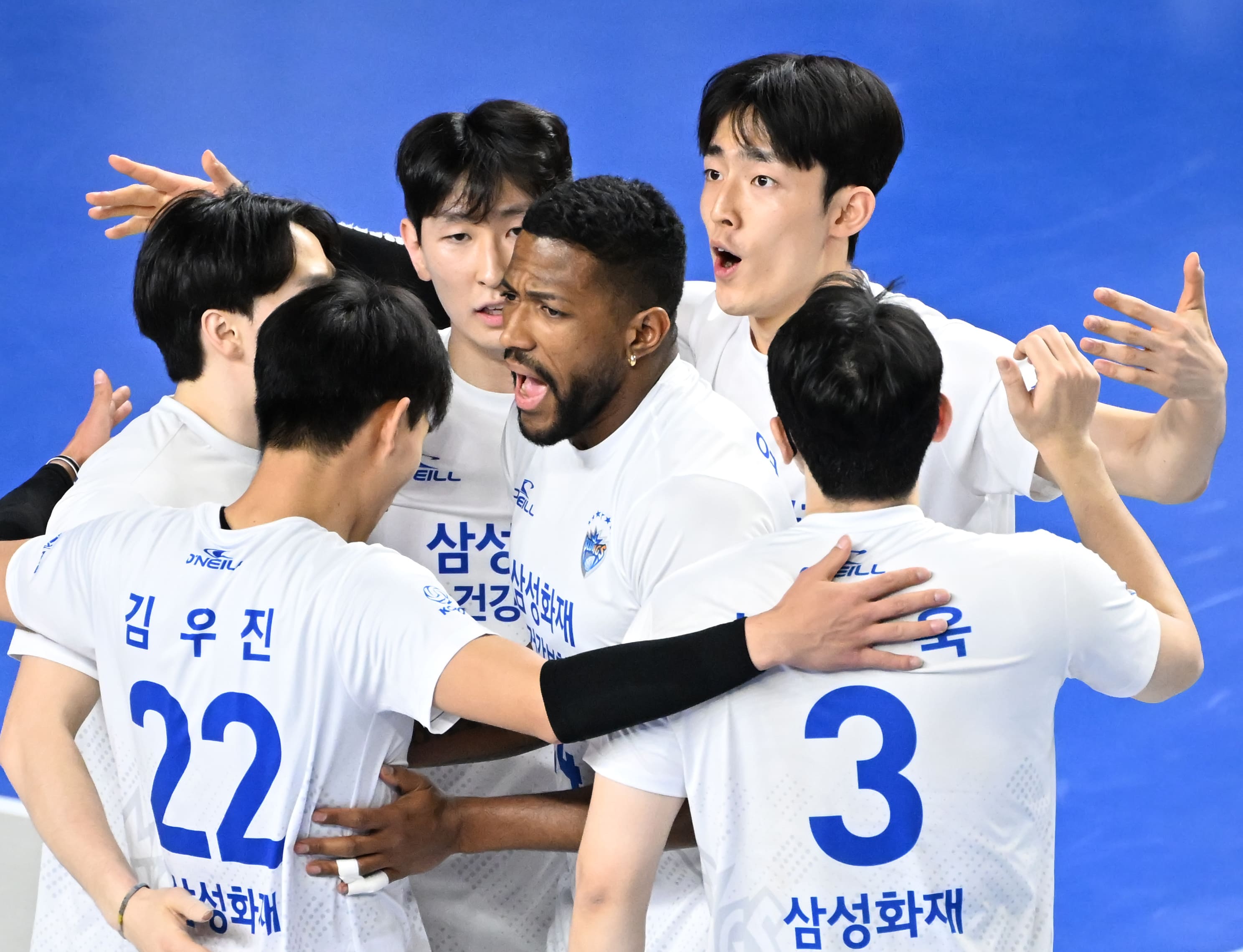 삼성화재배구팀