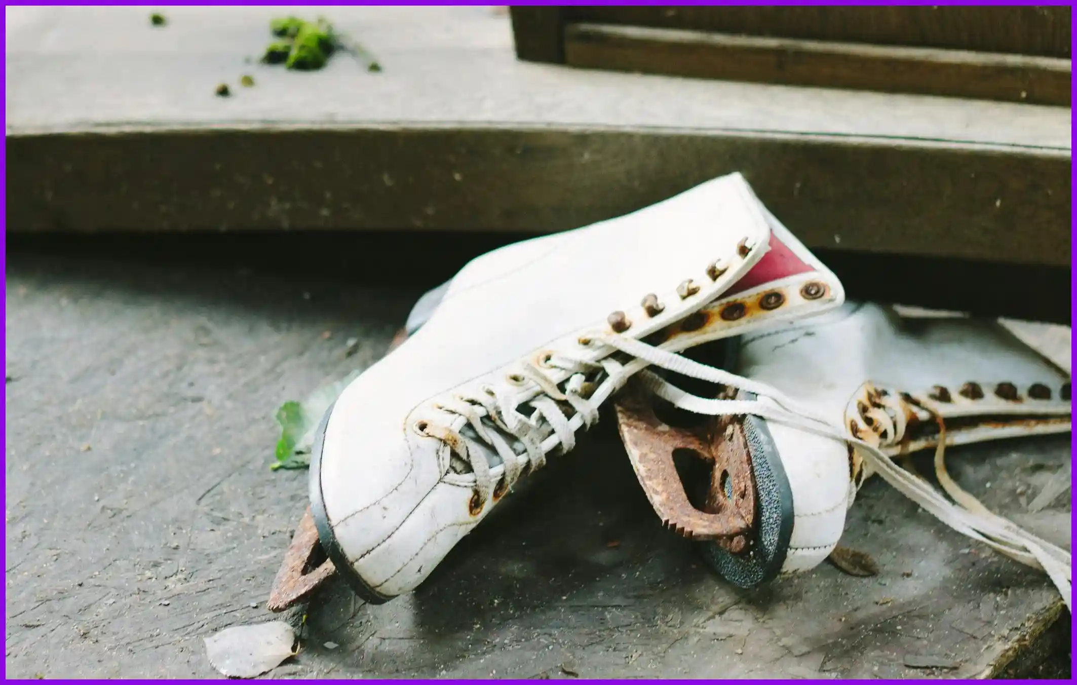 스피드스케이팅 월드컵 중계 방송 바로보기