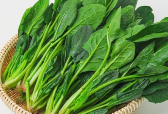 주요 비타민의 종류와 각각의 효능(역할)과 부족시 현상 그리고 부작용