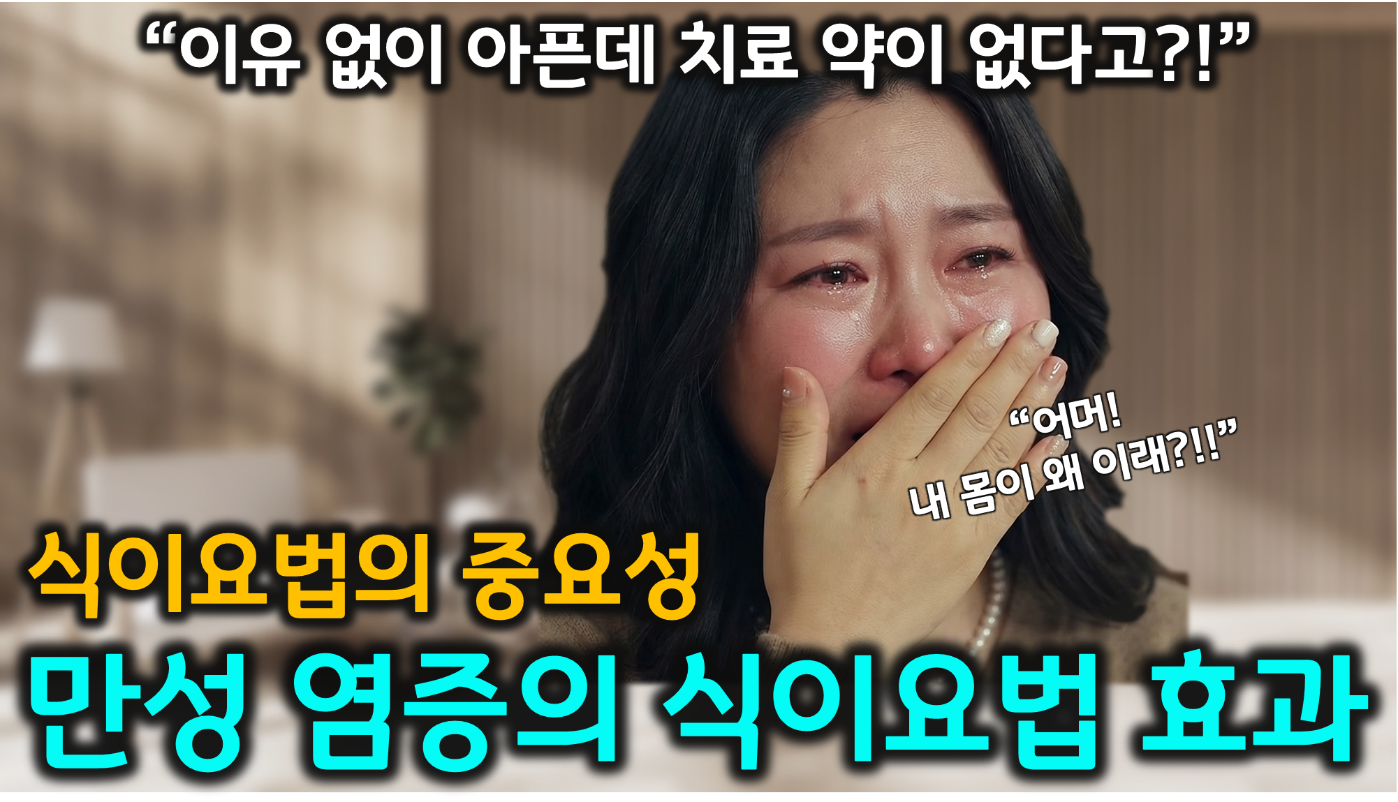 만성 염증 (내장지방, 항염식단, 생활 식습관)