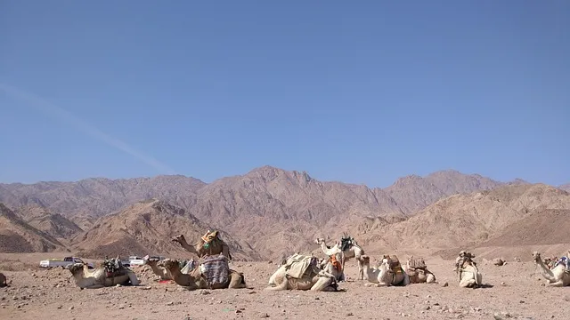 해외 여행 추천순위 완벽정리_4