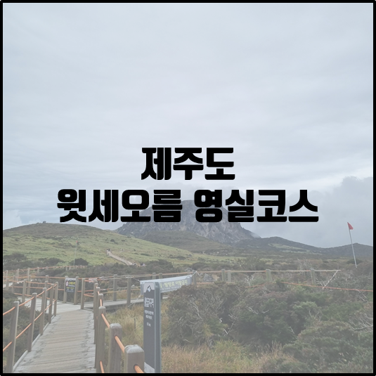 윗세오름 영실코스