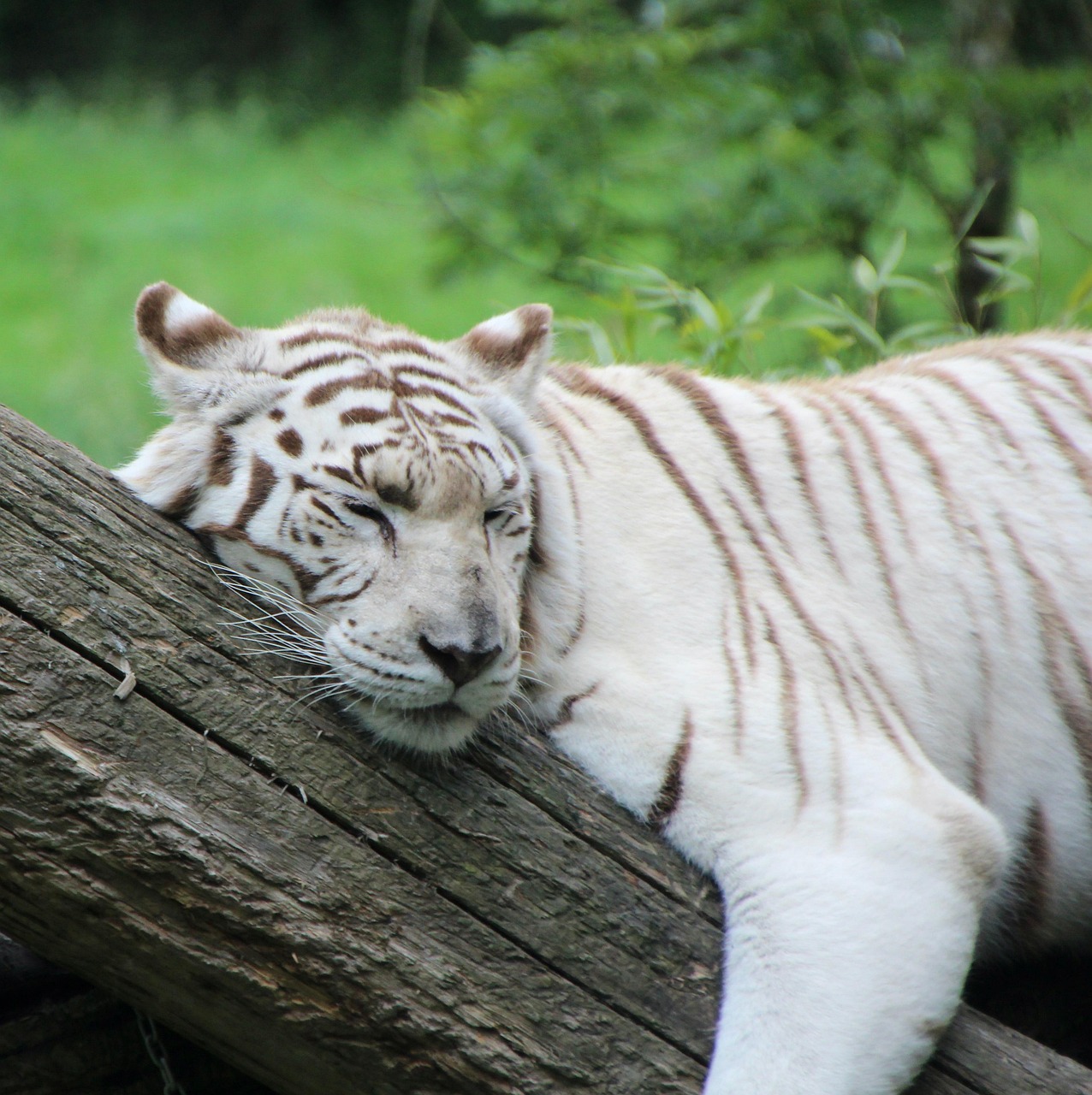 40대 남자 유망 자격증