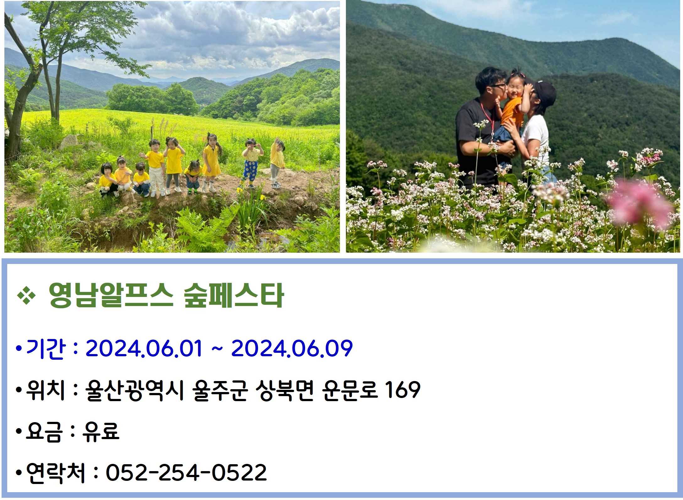 영남알프스 숲페스타