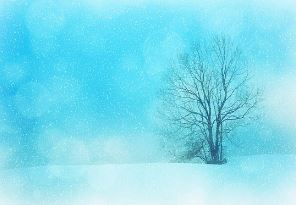 MDCT 개념 및 원리, detector 구조 알아보기