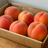 복숭아 보관방법