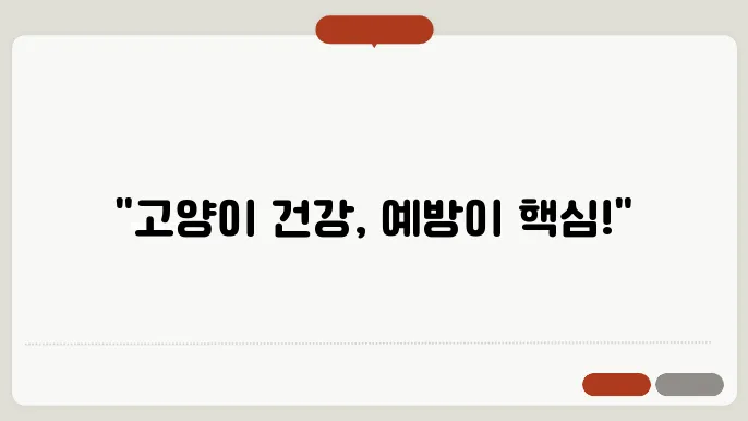 고양이 기생충 예방 시기와 약 종류 완벽 가이드