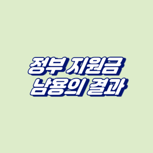 정부 지원금 남용의 결과